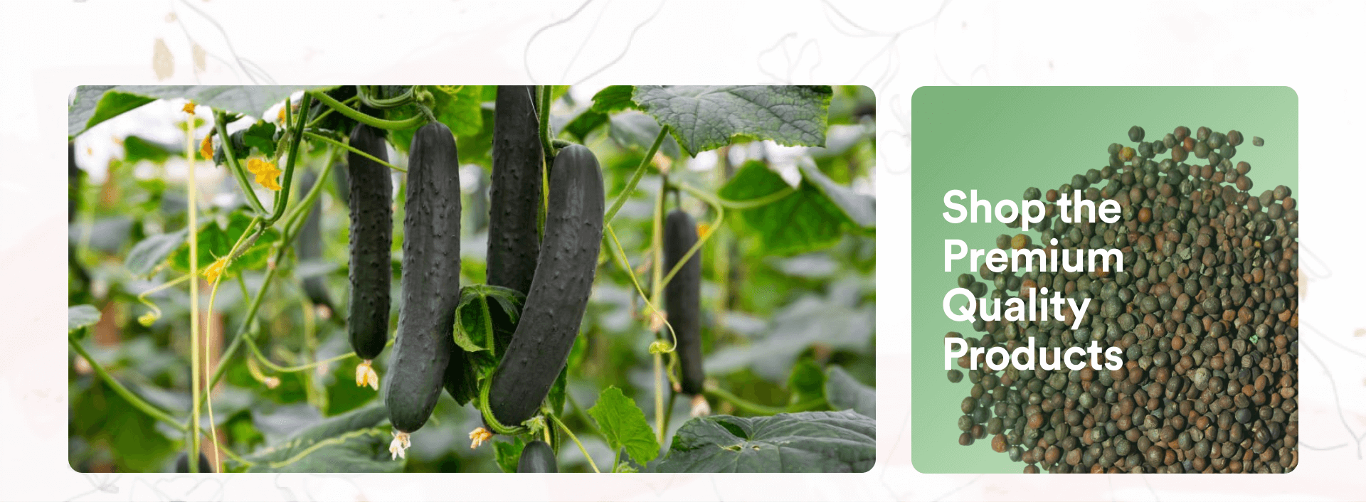 Itifaq Agro & Veterinary